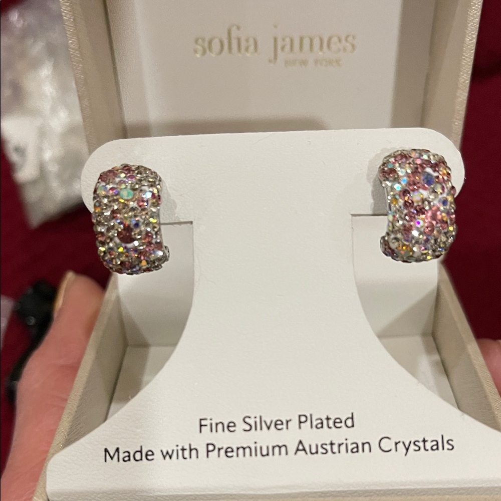 NEW! Boxed Silver-Plated Hoop Earrings with Multi-Color Crystals